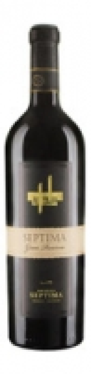 Mendoza Argentina Gran Reserva Bodega Septima 2013 CHF 14.95