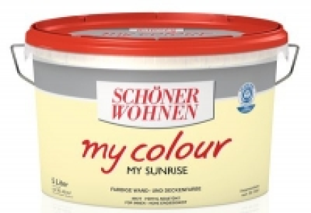 Do it und Garden Schoener Wohnen Trendfarbe MyColor