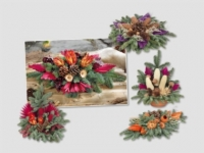 Grabschalen und Grableger (ab 29.10.)