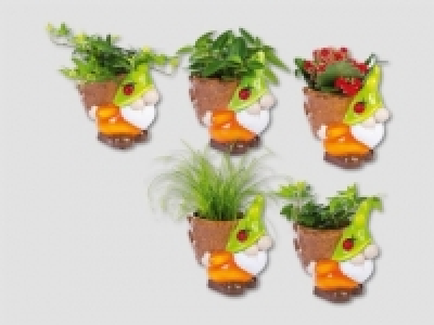 Pflanzenmix in Zwergfigur (ab 29.10.) CHF&nbsp;2.99