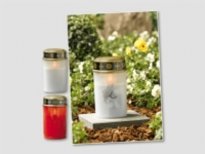 LED-Grablicht (ab 29.10.) CHF&nbsp;3.49