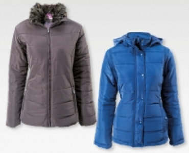 BLUE MOTION Damen-Steppjacke CHF 24.90
