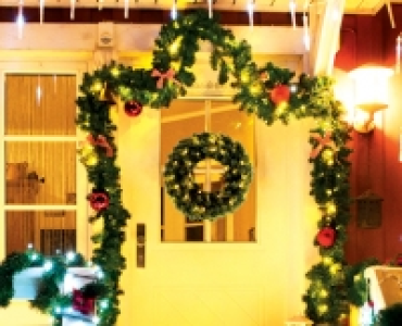 OVITEC&reg; LED-Tannengirlande CHF&nbsp;29.90