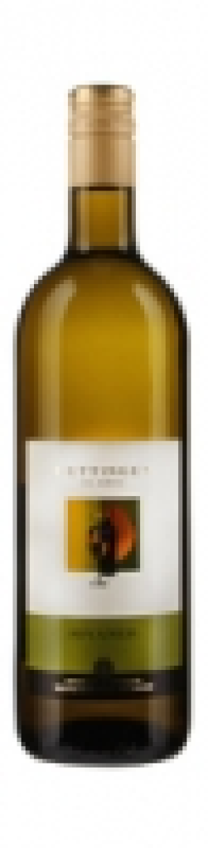 Wettinger Aargau AOC Rivaner 2012 CHF&nbsp;10.95