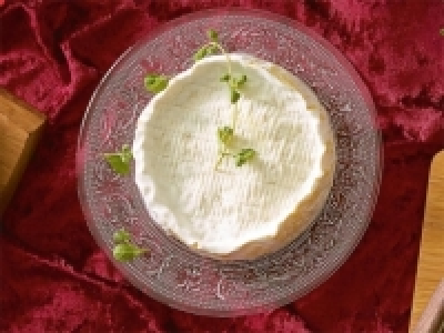 Camembert K&auml;seglocke