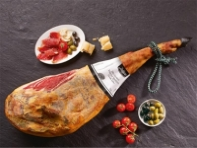 Iberisches Kernschinkenbein