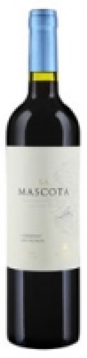 Cabernet Sauvignon Mendoza La Mascota 2013