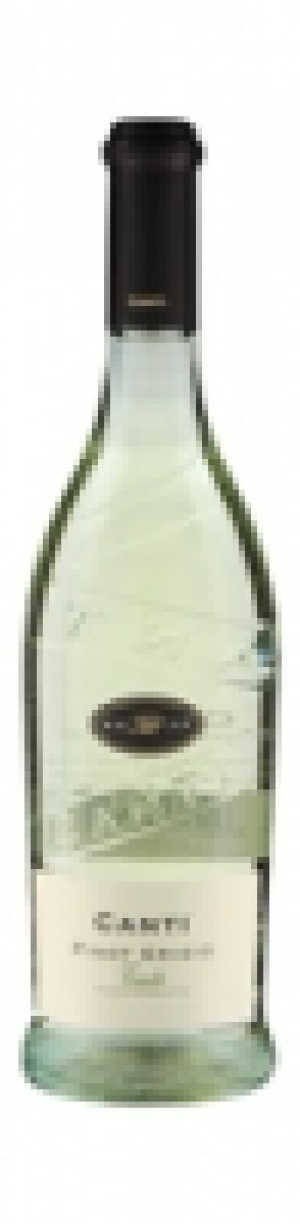 Pinot Grigio Canti Veneto 2013