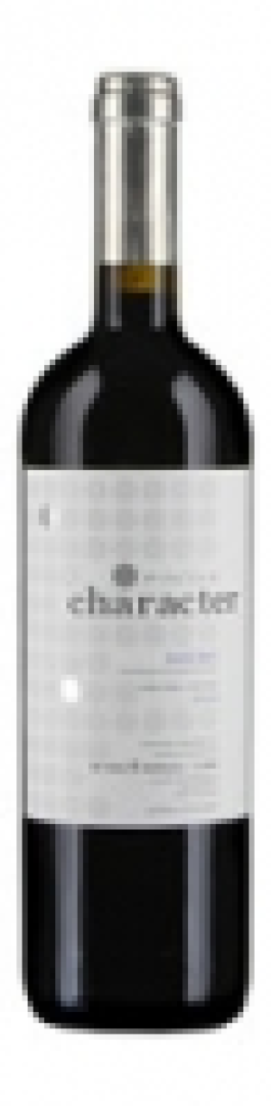 Douro DOC Character Pintas Wine&Soul 2009