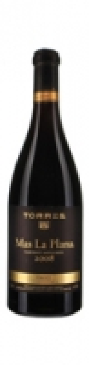 Penedès DO Mas la Plana Cabernet Sauvignon Torres 2008