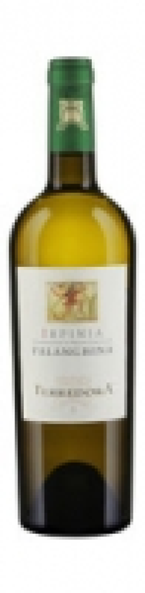 Falanghina Irpina DOC Terredora 2014