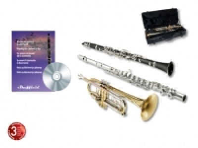 Blasinstrument