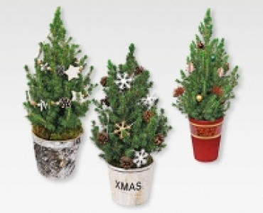GARDENLINE&reg; Weihnachtsb&auml;umchen