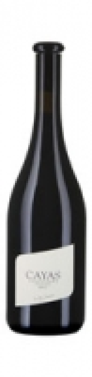 Valais AOC Cayas J.R. Germanier 2012