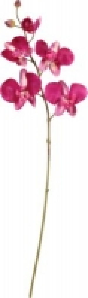 Kunstblume Orchidee