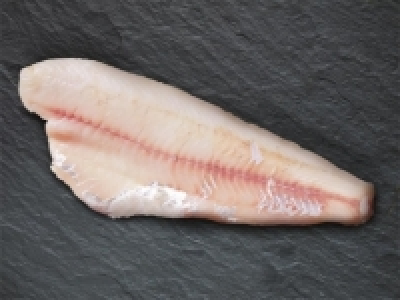 Zanderfilet