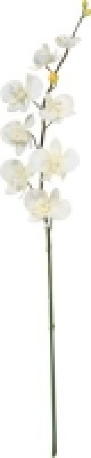 Kunstblume Phalaenopsis CHF&nbsp;6.35