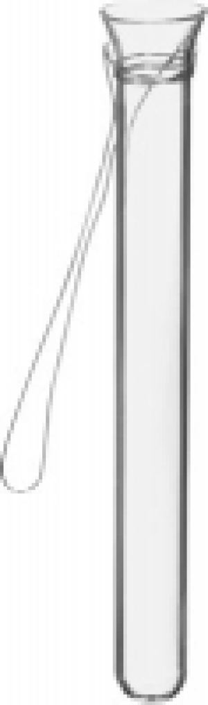 Reagenzglas mit Draht CHF&nbsp;2.00