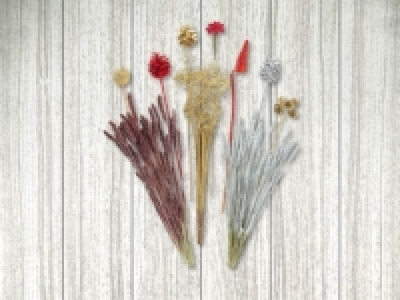 Trockenblumen Weihnachten (ab 14.12.)