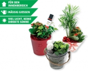 Festliche Arrangements mit Weihnachtsdekoration CHF 6.99