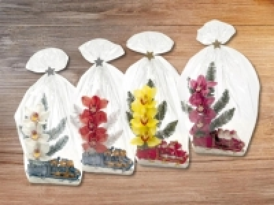 Orchideen 3er- Gesteck in Weihnachtsfigur (ab 17.12) CHF&nbsp;7.99