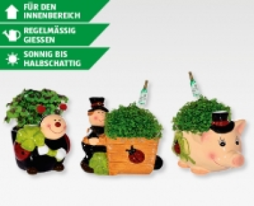 Glücksbringer zur Jahreswende