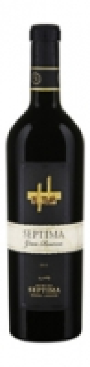 Mendoza Argentina Gran Reserva Bodega Septima 2013 CHF 18.95
