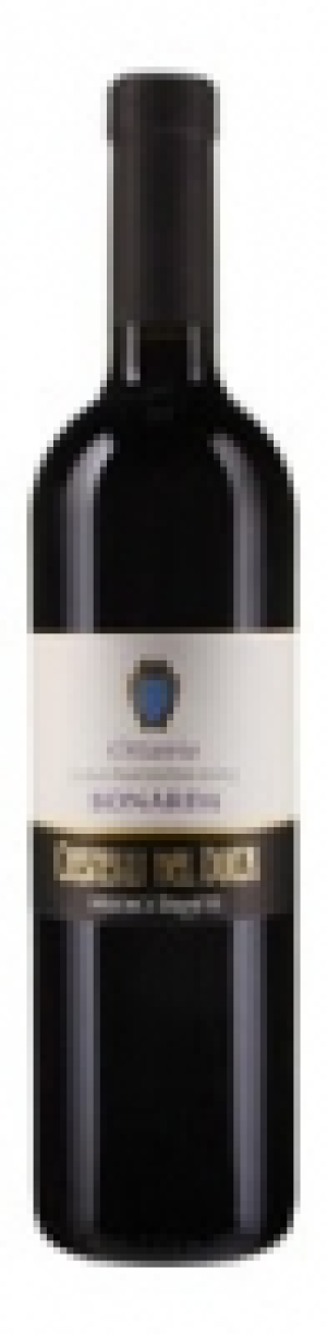 Castelli del Duca Bonarda Colli Piacentini DOC 2013 CHF&nbsp;5.50