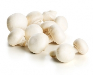 Champignons/Riesen-Champignons