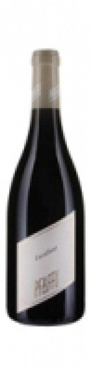 Pfaffl Excellent 2011 CHF 23.00