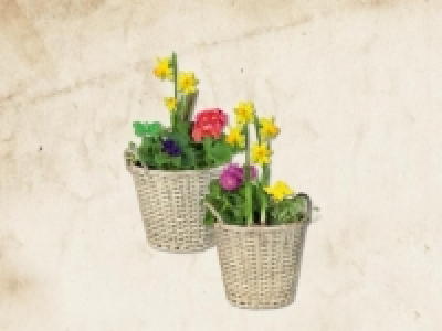 Bepflanzter Korb (ab 21.1.) CHF&nbsp;14.99