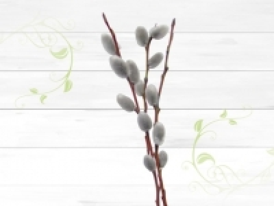 Weidek&auml;tzchen (ab 1.2.)