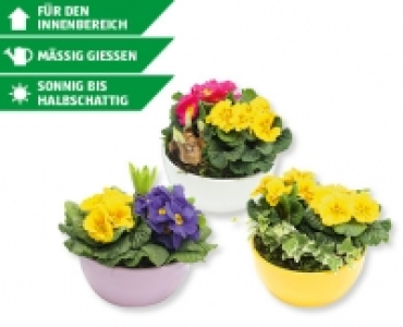 Frühlingsschale CHF 4.99