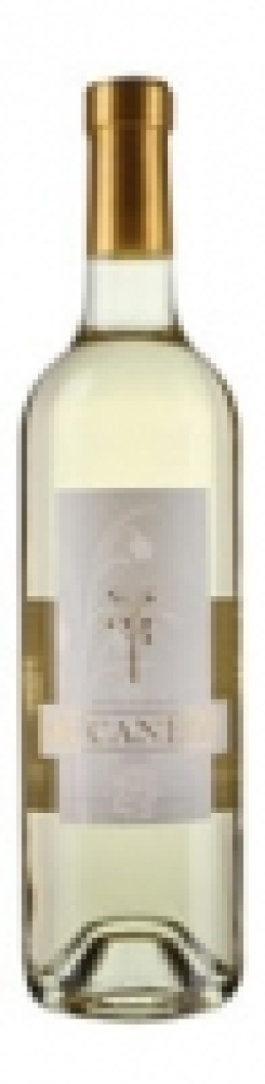 Ticino DOC Merlot Bianco Bucaneve 2015 CHF&nbsp;12.95