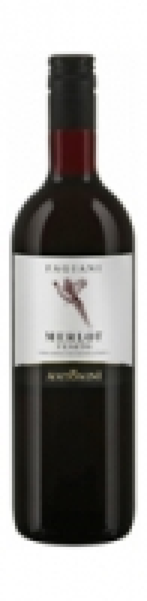 Merlot Veneto Fagiani Antonini 2014