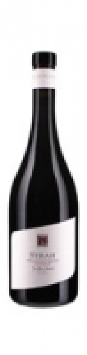 Valais AOC Syrah J.-R.Germanier 2014