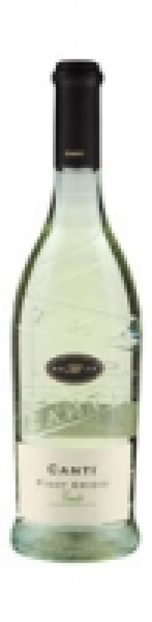 Pinot Grigio Canti Veneto 2014