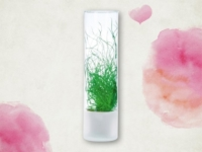 Liebesl&ouml;ckchen im Glas (ab 11.2) CHF&nbsp;8.99