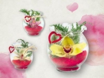 Orchidee im Wellenrandglas (ab 11.2) CHF&nbsp;2.99