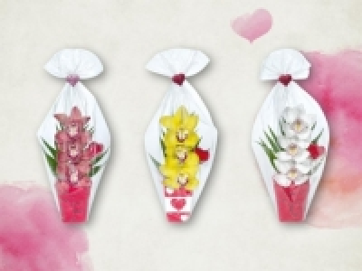 Orchideengesteck Valentin in Keramik (ab 11.2) CHF&nbsp;6.99