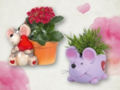 Bepflanzte Keramikmaus Valentin (ab 11.2) CHF&nbsp;4.99