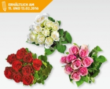 GARDENLINE&reg;Fairtrade-Langstielrosen