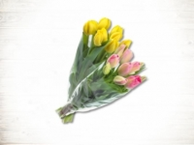 Tulpen (täglich) CHF 3.99