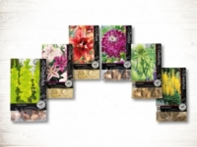 Herbstblumenzwiebeln Premium (ab 22.2.)