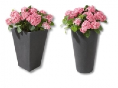 Pflanztopf CHF&nbsp;17.99