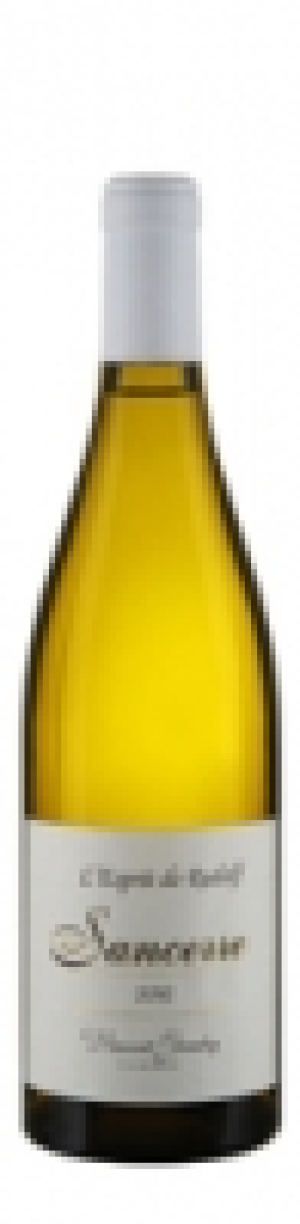 Sancerre AOC LEsprit de Rudolf Vincent Gaudry 2012