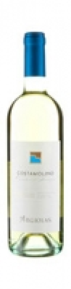 Sardegna DOC Vermentino Costamolino Argiolas 2015
