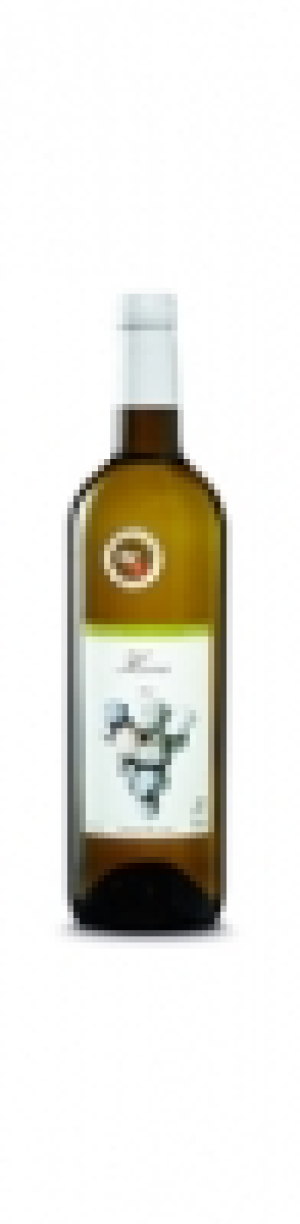 Aargau AOC Fricker Kerner Weingut FiBL 2014