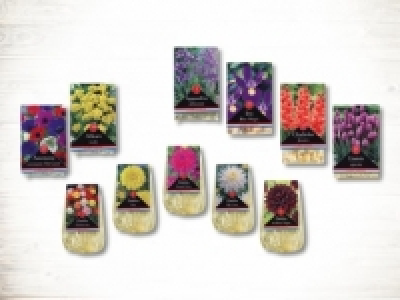 Herbstblumen- zwiebeln &laquo;Standard&raquo; (ab 22.2.) CHF&nbsp;1.79