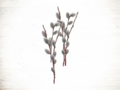 Weidek&auml;tzchen (ab 22.2.) CHF&nbsp;3.99